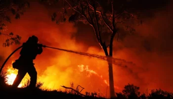 Из-за природных пожаров на Ямале ввели режим ЧС регионального характера в лесах