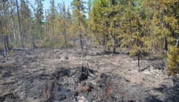 На территории Шурышкарского района действуют 4 природных пожара