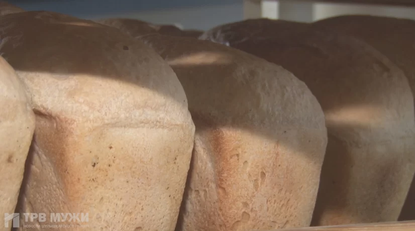 В новой пекарне села Азовы будут выпекать сотню буханок хлеба в смену