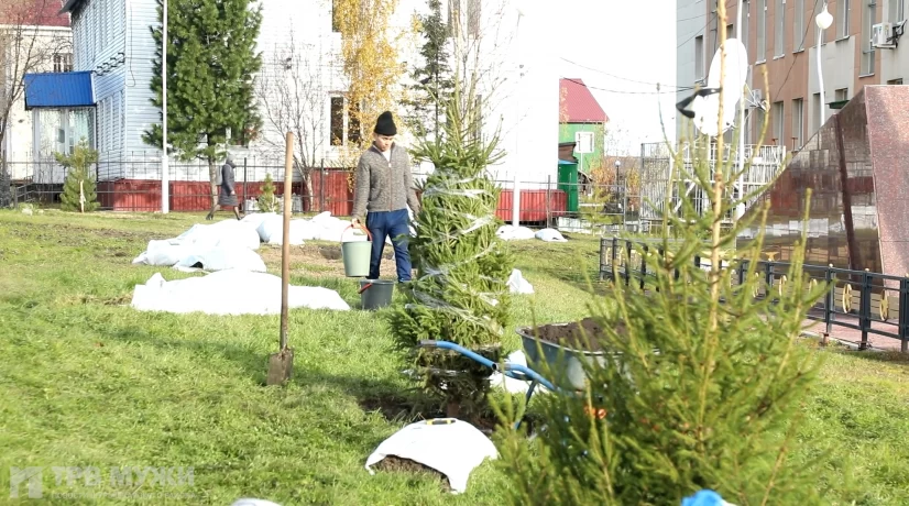 Акция «Сад памяти» пройдет в селах Шурышкарского района