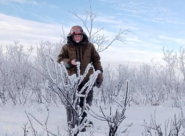 Охотинспекторы Шурышкарского района начали зимний подсчет диких животных