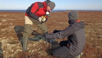Ямальские ученые продолжают наблюдения за мерзлотой в дальних северных поселках