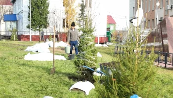 Акция «Сад памяти» пройдет в селах Шурышкарского района