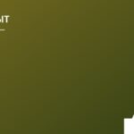 Как выбрать и правильно ухаживать за растениями – очистителями воздуха в квартире